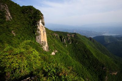 五里坡保护区