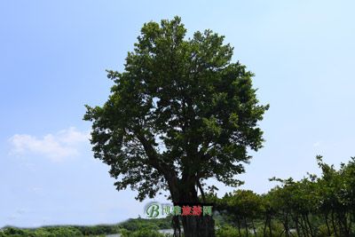 二道河子“人圈”遗址