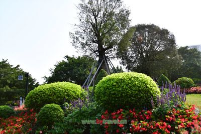 清松堡遗址