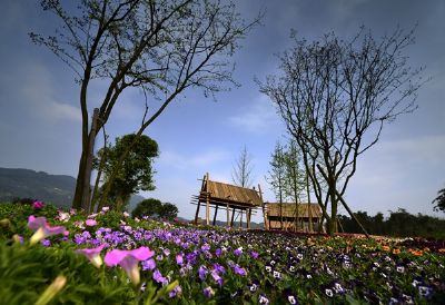 黔北四季花香景区