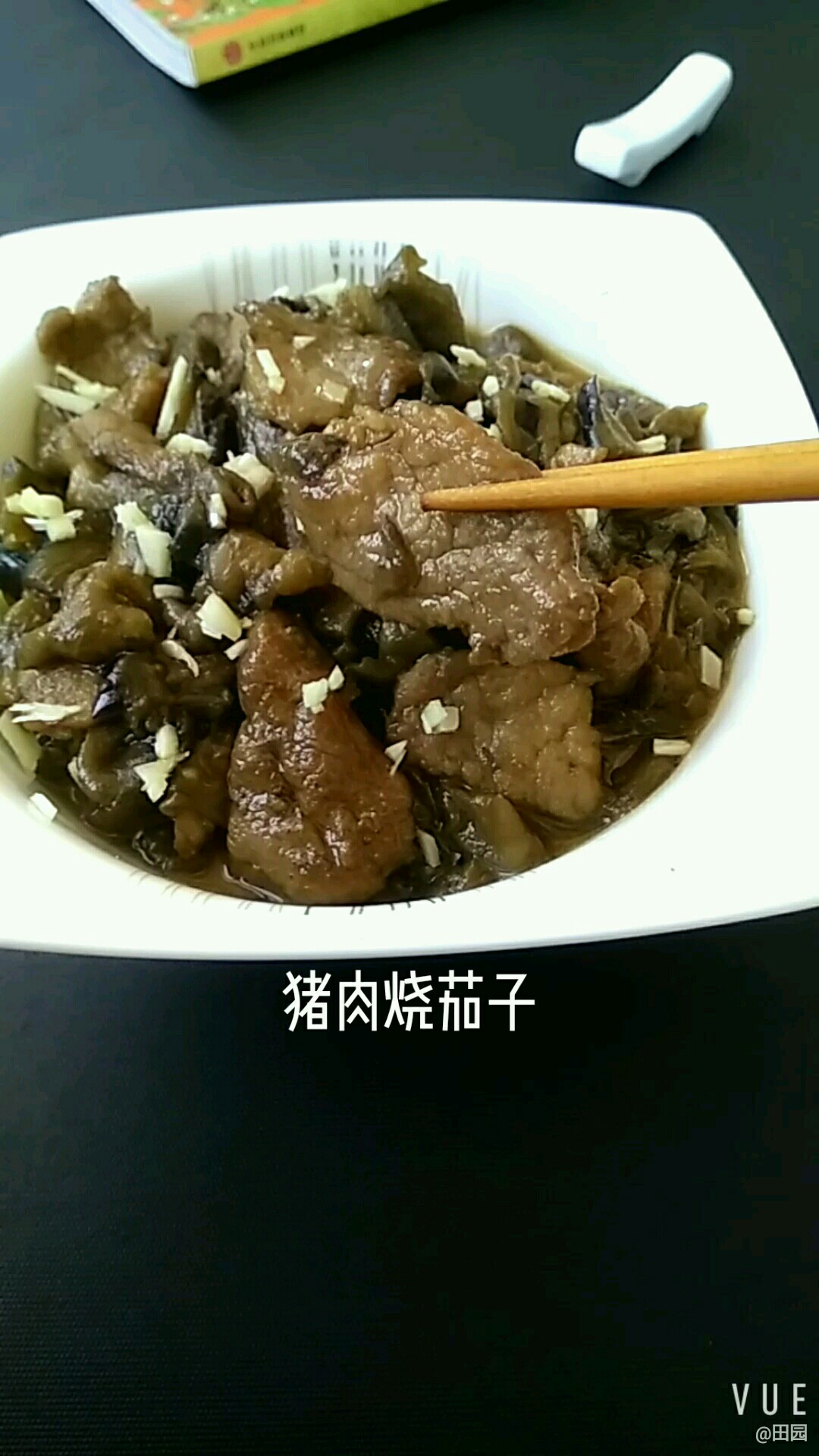 猪肉烧茄子成品图