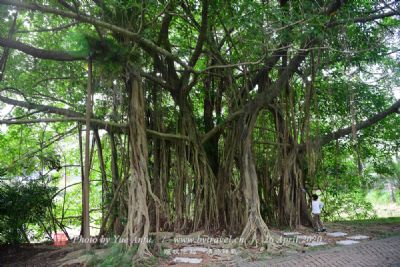 国际广播电台土湾电力厂旧址