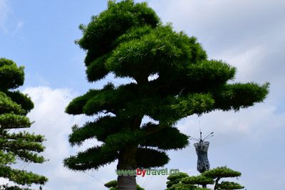 湖北红安革命传统教育学院