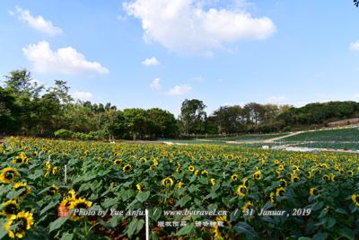 中富农庄风景区