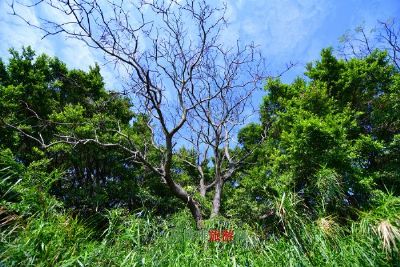 红山湖民族风情园