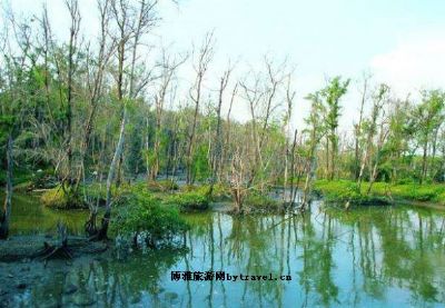 好美寮湿地