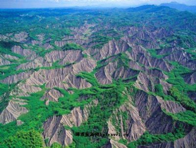 田寮月世界