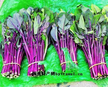 仪征紫菜