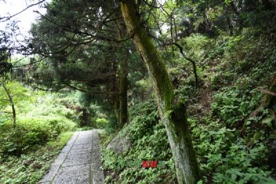 大田坡鹿保护区