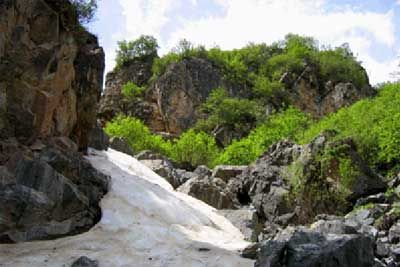 寺洼台林区