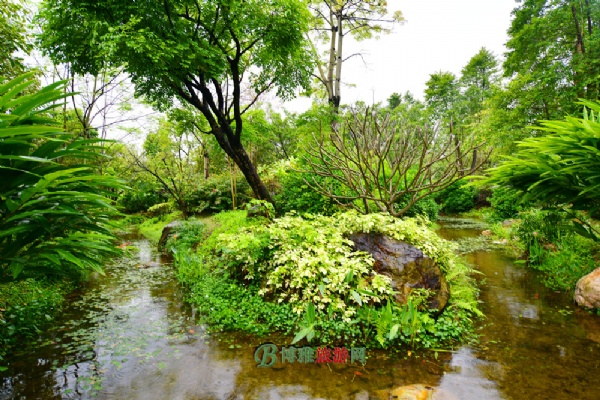 广州海珠国家湿地公园（海珠湿地公园）