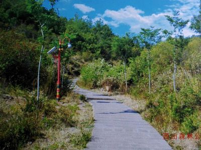 姚安西山森林公园