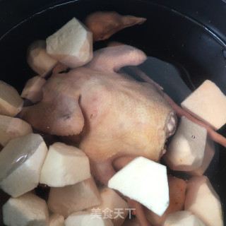 灵芝芋头炖鸽子的做法步骤：9
