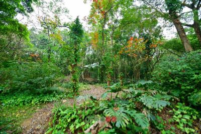 澳门大潭山郊野公园