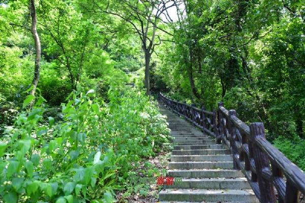 石峡遗址