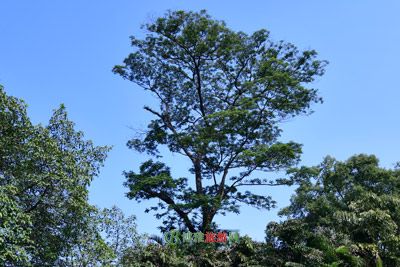 海润珍珠科学馆