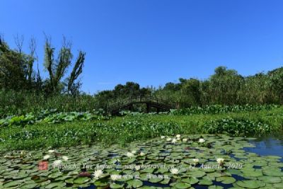 昌吉市滨湖河景区