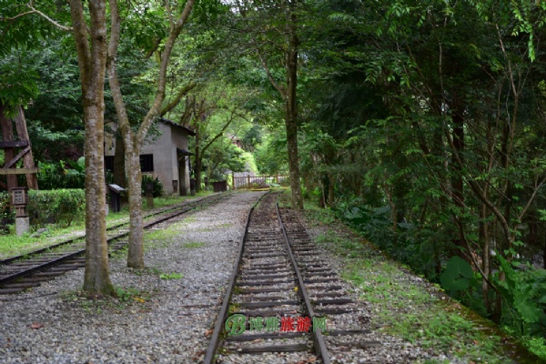 林田山林场