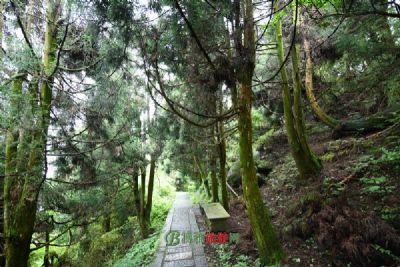 黑龙江胜山自然保护区