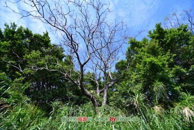 夏日美食广场