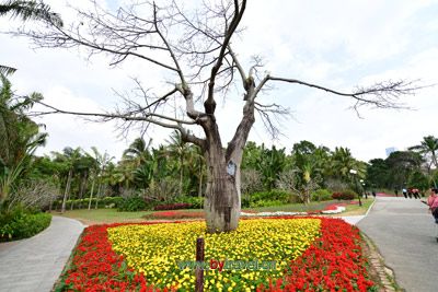 黄道婆雕像