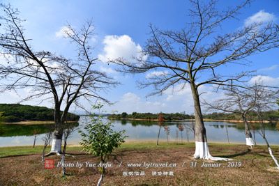 桂花湖景区