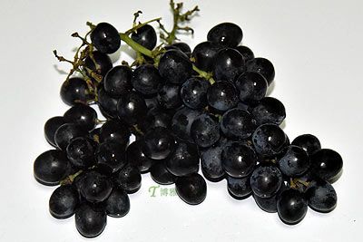 太湖绿洲葡萄