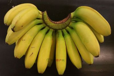 平凤香蕉