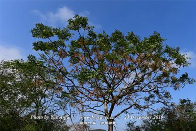 旅顺沙俄陆防副司令官邸建筑