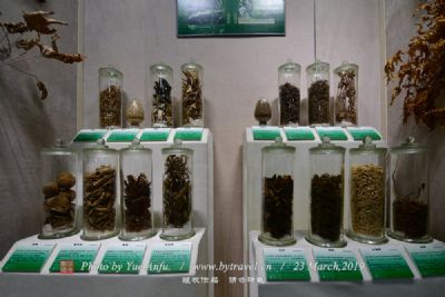 西藏藏医学院藏医药天文星算博物馆