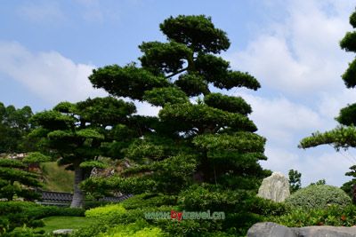 镇平黉学大殿