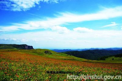 沁水历山国家森林公园