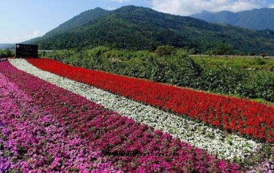 花东纵谷风景区