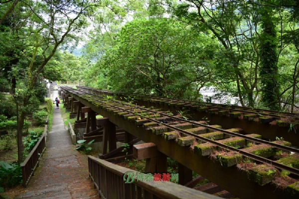 林田山林场