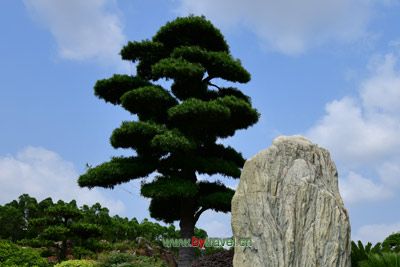 博爱青莲寺