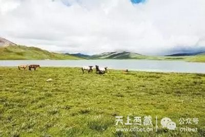 西藏朱拉河国家湿地公园