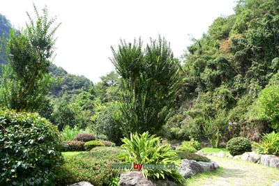 盐锅峡水库（盐锅峡水电站）