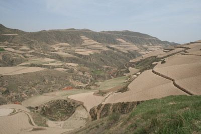 坪山小沟遗址