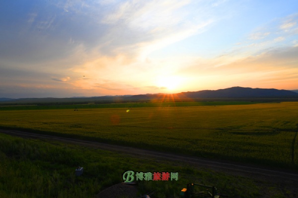 呼伦贝尔大草原