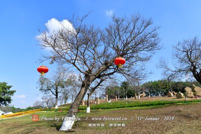 西昌龙泉人家-书夫彝寨旅游区