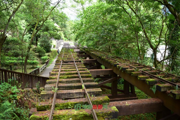 林田山林场