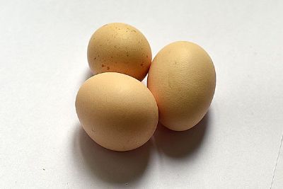 羽山草鸡蛋