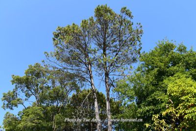 满州里市红色国际秘密交通线教育基地