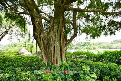 毛铺村传统民居