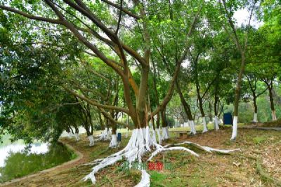 黑沙水库郊野公园