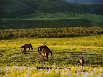 海航民俗风景区