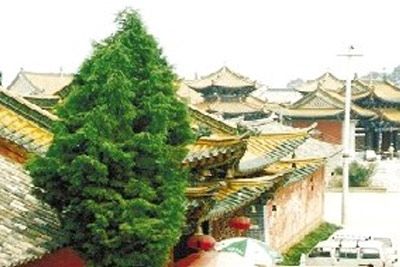 文明阁建筑群