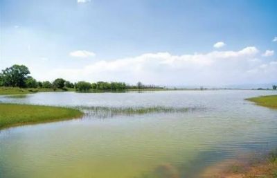 包头黄河国家湿地公园