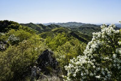 卧虎岭景区