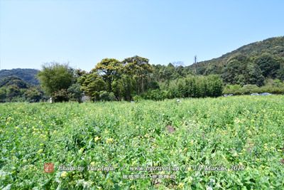 蒙牛乳制品（眉山）工业旅游景区